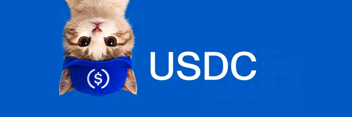 UpSideDownCat official banner: upside-down kitten in a blue bandana